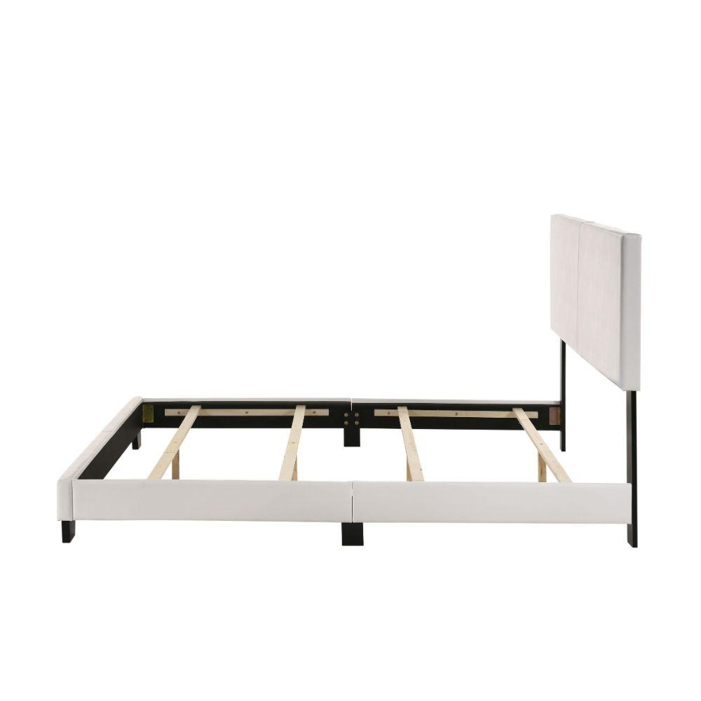 

    
Acme Furniture Lien Queen Bed White 25710Q
