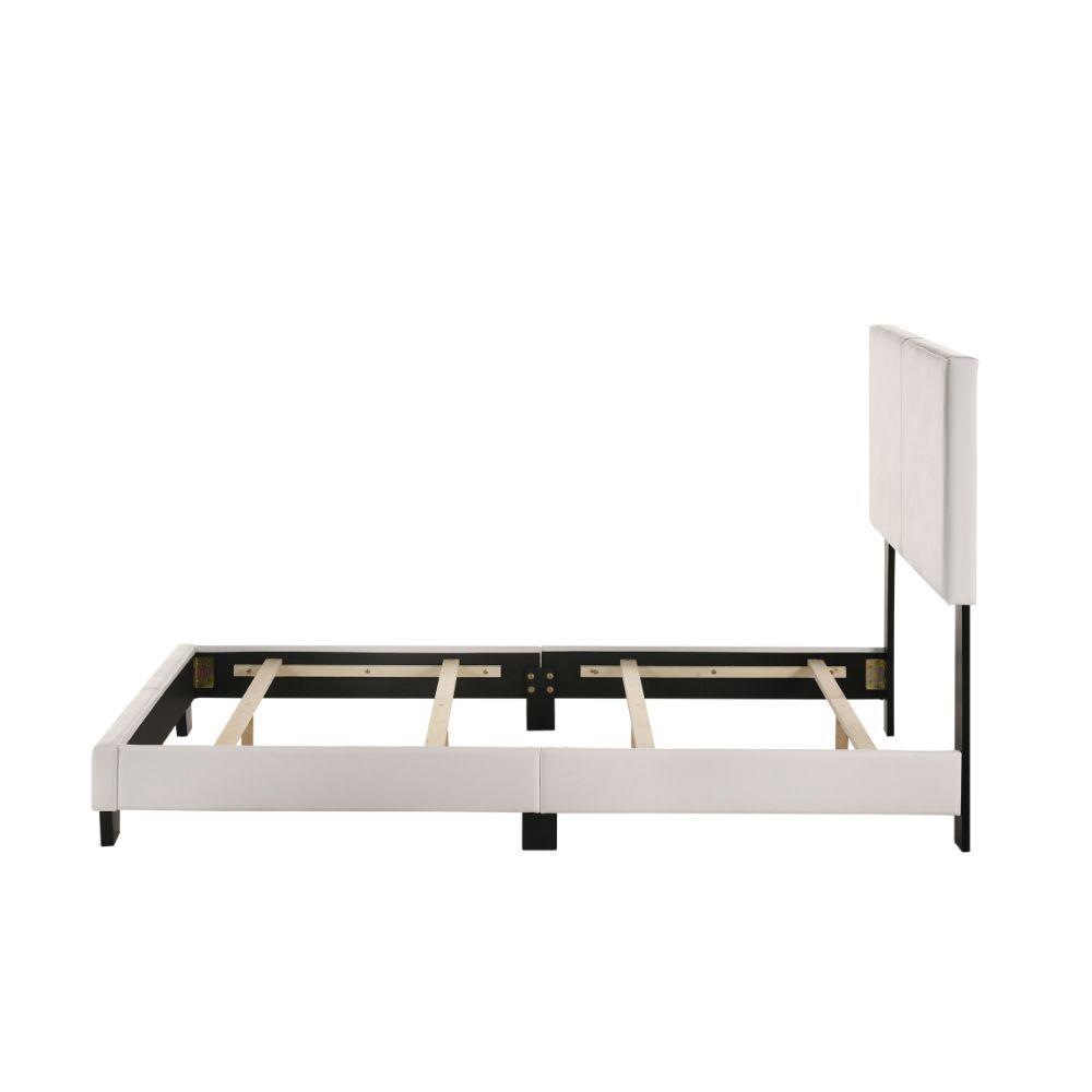 

    
Acme Furniture Lien Twin bed White 25716T
