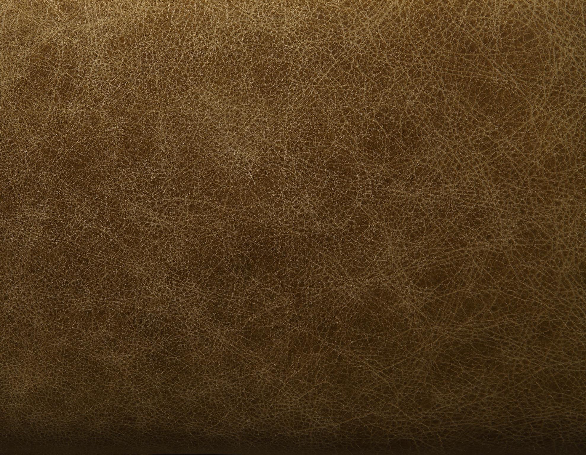 

    
56500-Blanca Deluxe Chestnut Top Grain Leather & Rustic Oak Sofa Blanca 56500 ACME Industrial
