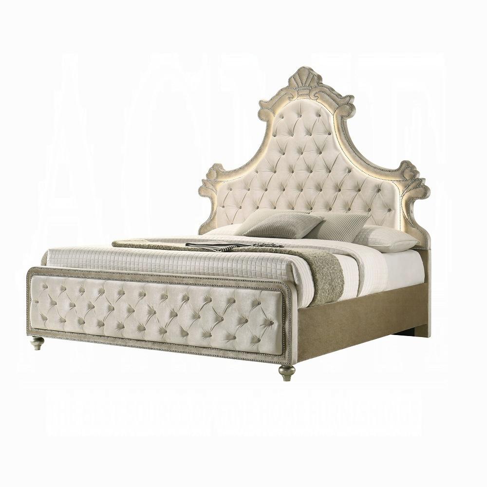 Modern Panel Bed Lucienne Queen Panel Bed BD02335Q-Q BD02335Q-Q in Beige Velvet