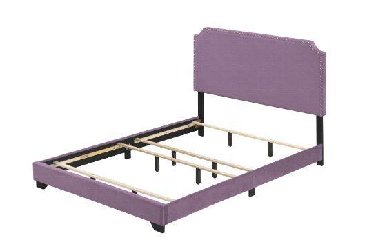 

    
Transitional Light Purple Fabric Queen Bed by Acme Haemon 26750Q
