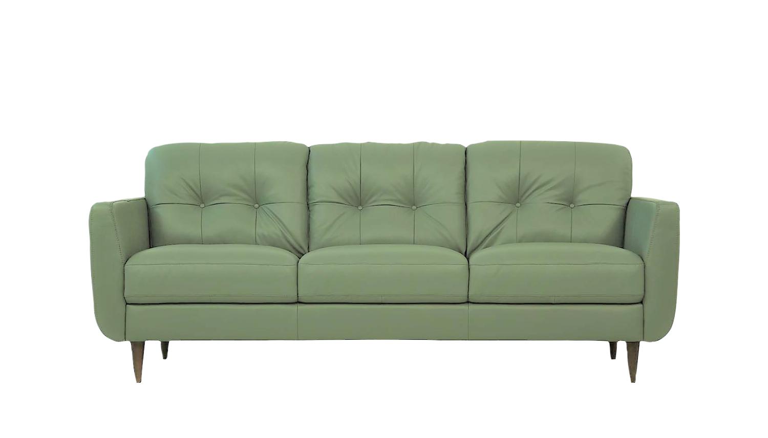 

                    
Acme Furniture Radwan Sofa and Loveseat Set Spring green Leather Purchase 
