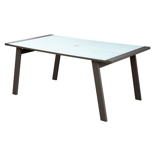 

    
Transitional White & Gray Aluminum Frame Patio Table Furniture of America CM-OT2141T Alycia

