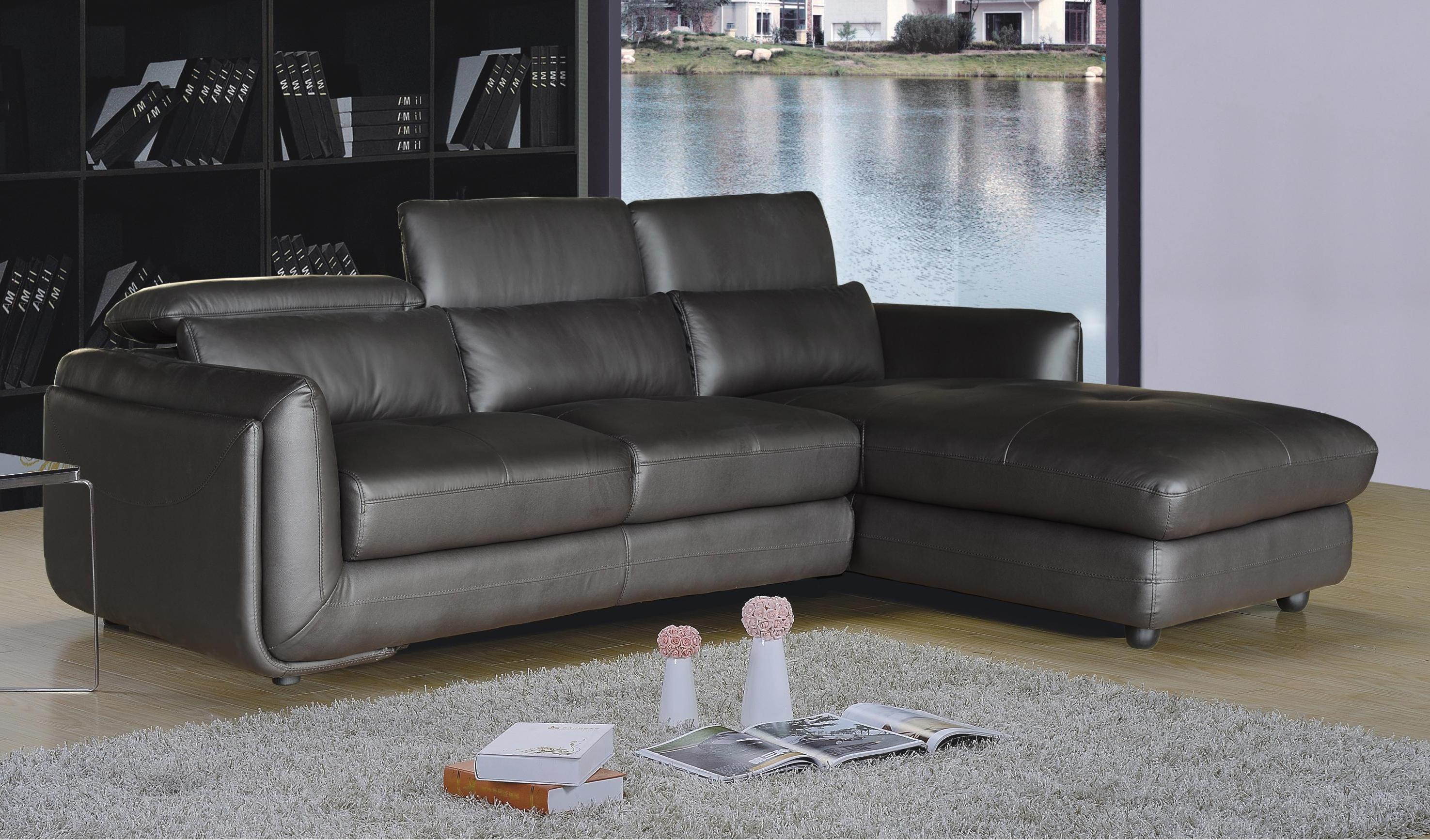 Contemporary Sectional Sofa Ron RON-2PC-SECTIONAL-R in Gray Leather Match
