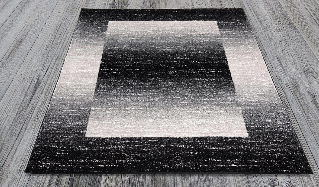 

    
Aiken Gray and Black Border Rug 5x8 by Art Carpet

