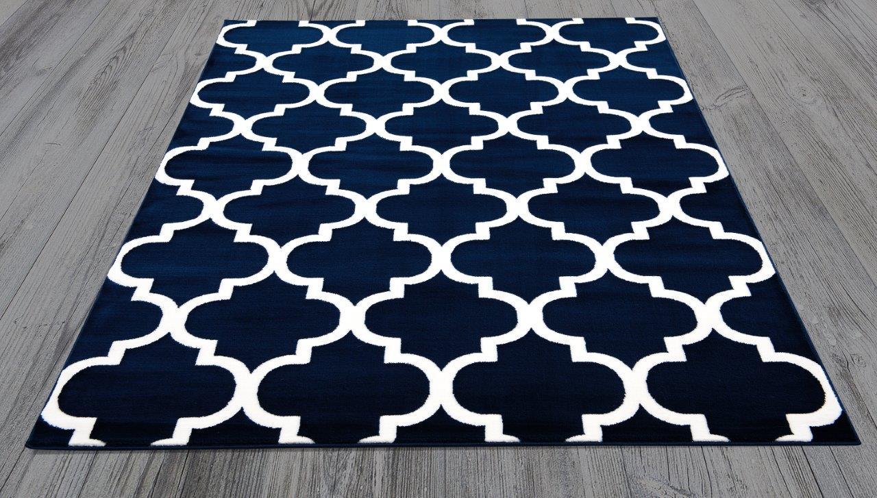 

    
Aiken Navy and White Mroccan Area Rug 5x8 by Art Carpet
