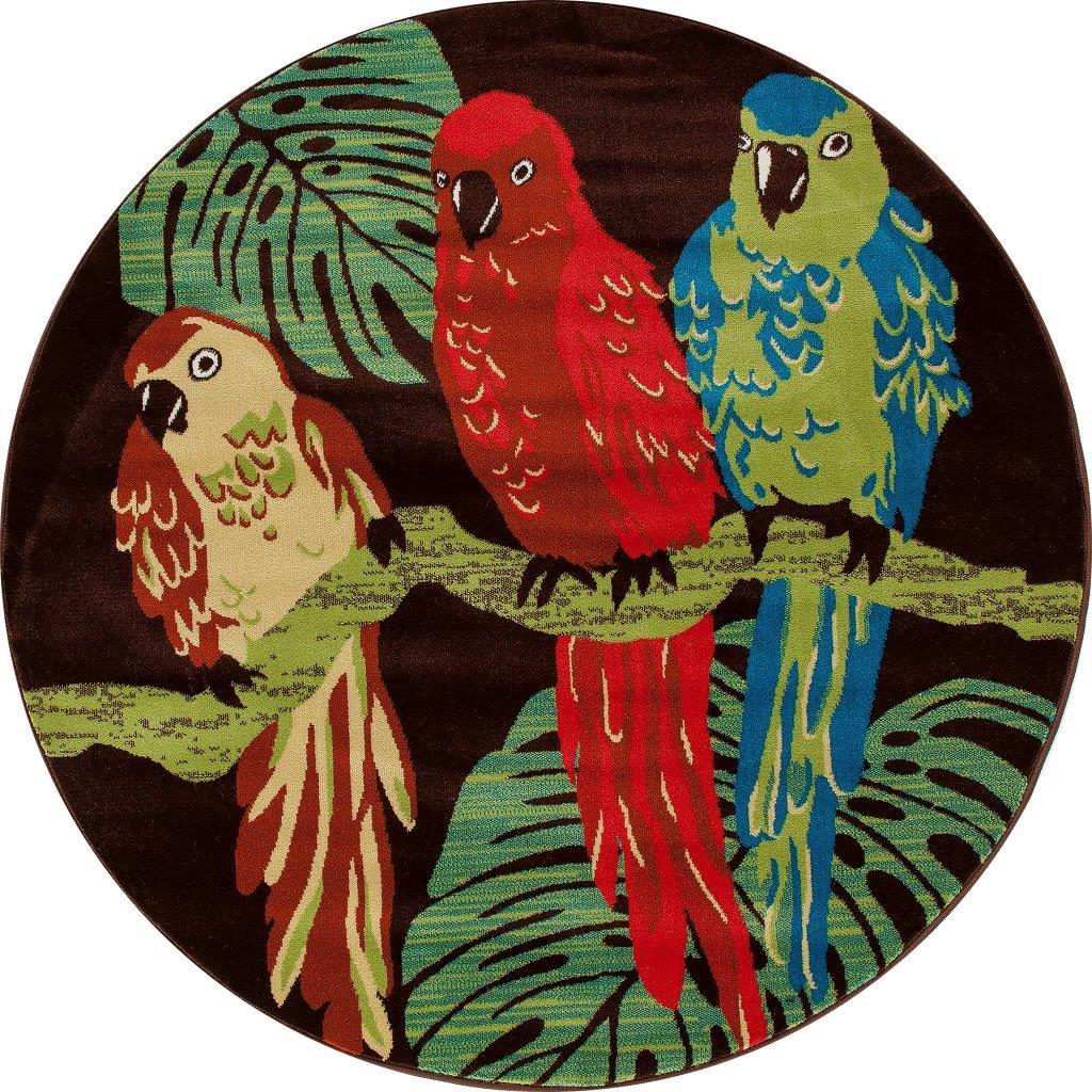 

    
Alliston Parrots Brown 5 ft. 3 in. Round Area Rug by Art Carpet
