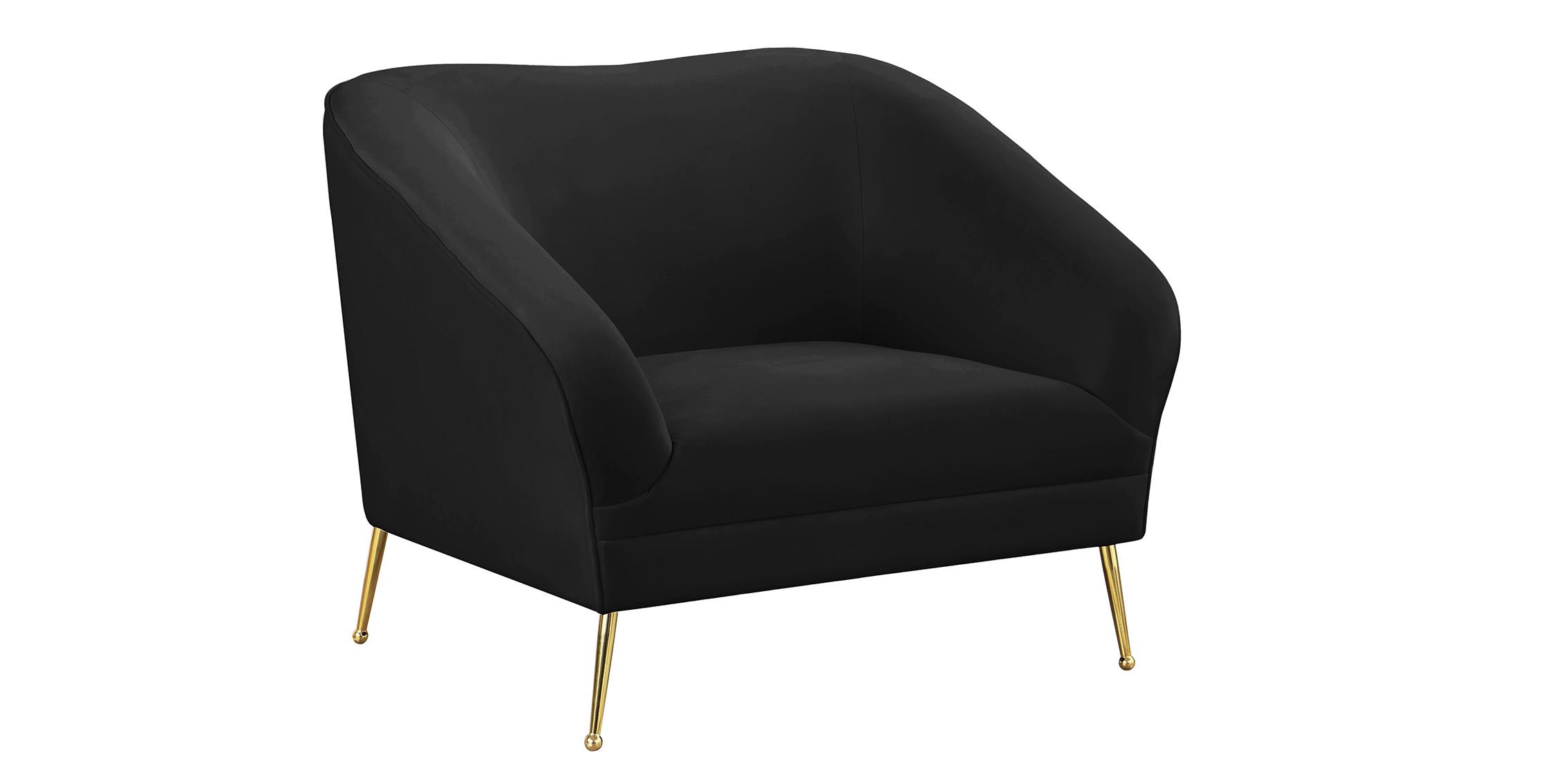 Contemporary, Modern Arm Chair HERMOSA 658Black-C 658Black-C in Black Velvet