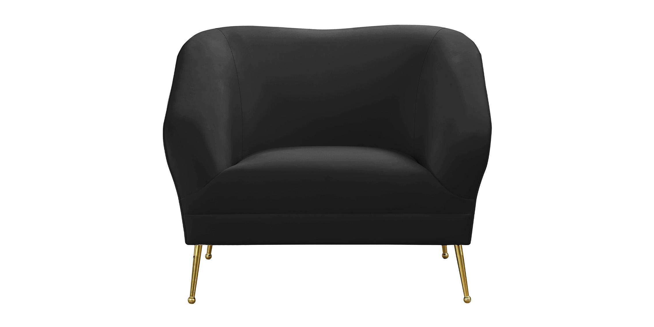 

        
Meridian Furniture HERMOSA 658Black-C Arm Chair Black Velvet 704831407839
