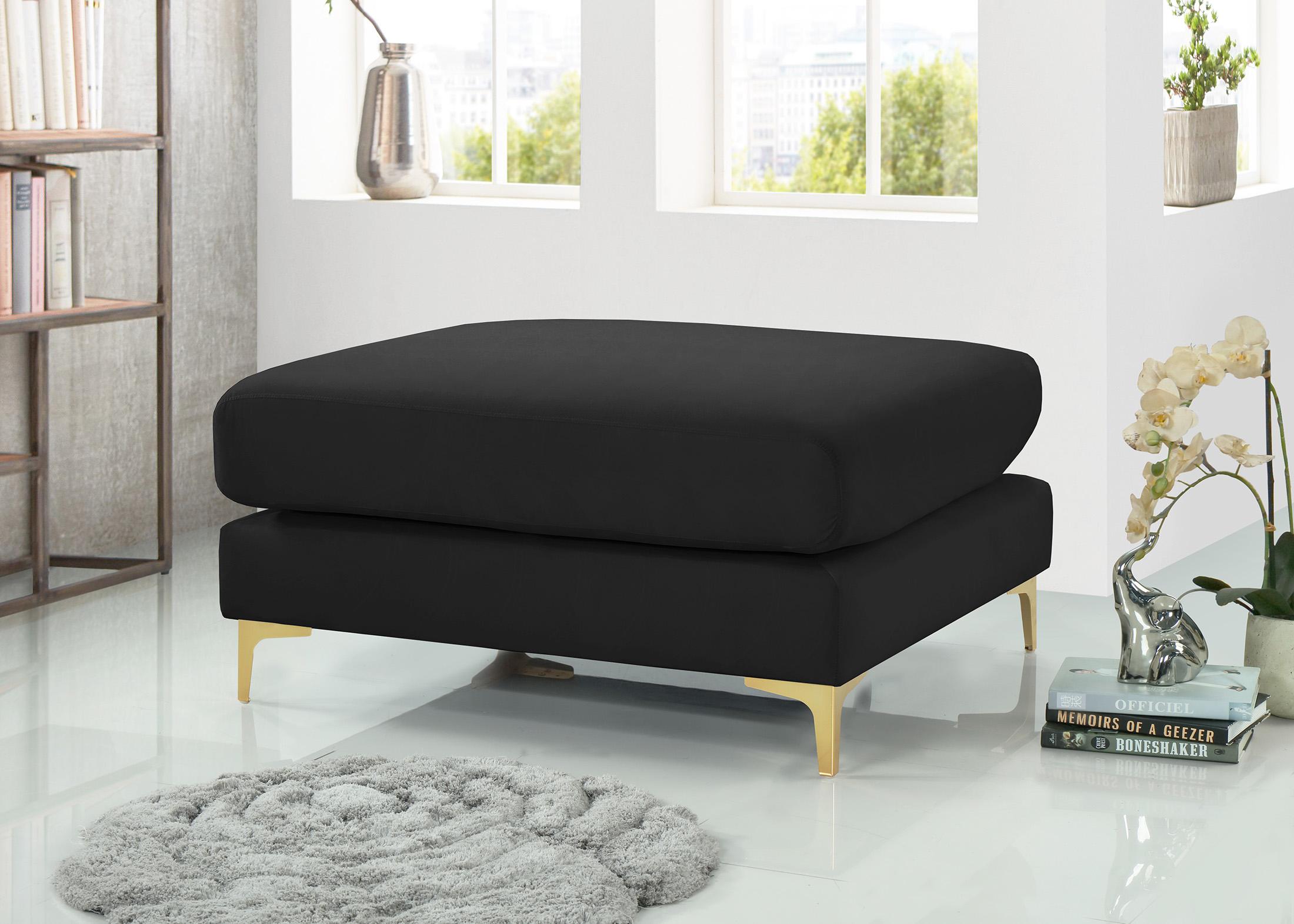 

        
Meridian Furniture JULIA 605Black-Ott Ottoman Black Velvet 753359799940
