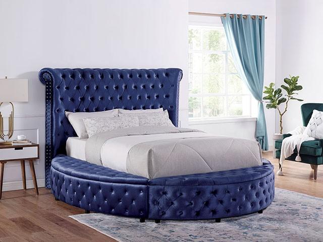 

                    
Furniture of America Delilah Platform Bed Blue Velvet Purchase 
