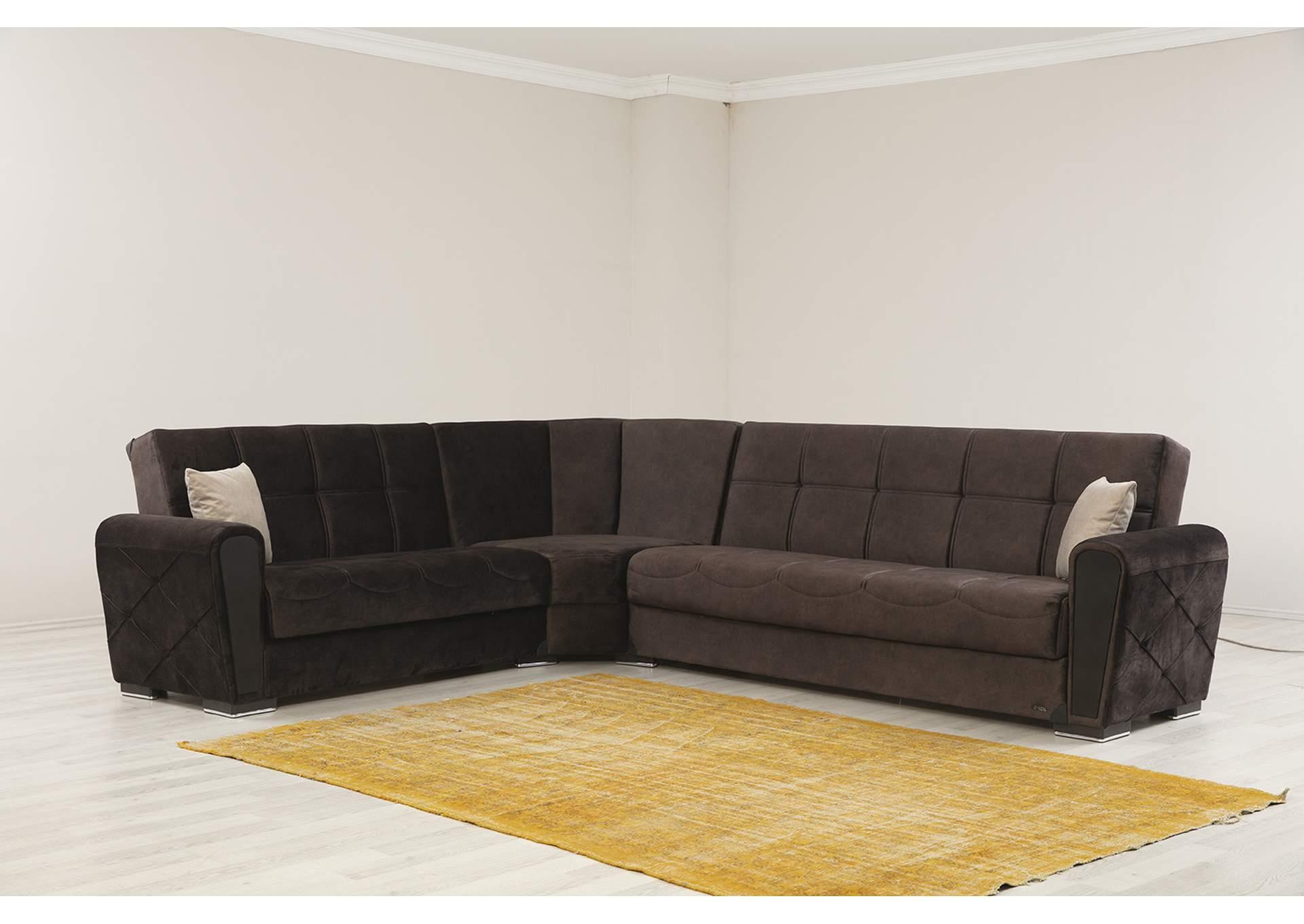 

    
Brown Velvet Fabric 3Pcs Sleeper Sectional Contemporary Alpha Furniture Sofia

