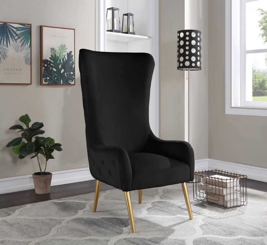 Contemporary Accent Chair Alexander Accent Chair 536Black 536Black in Gold, Black Velvet