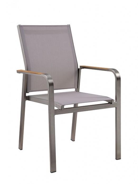 

    
Contemporary Champagne Aluminum Frame Patio Chairs Set 2pcs Furniture of America CM-OT1846-AC-2PK Arshana
