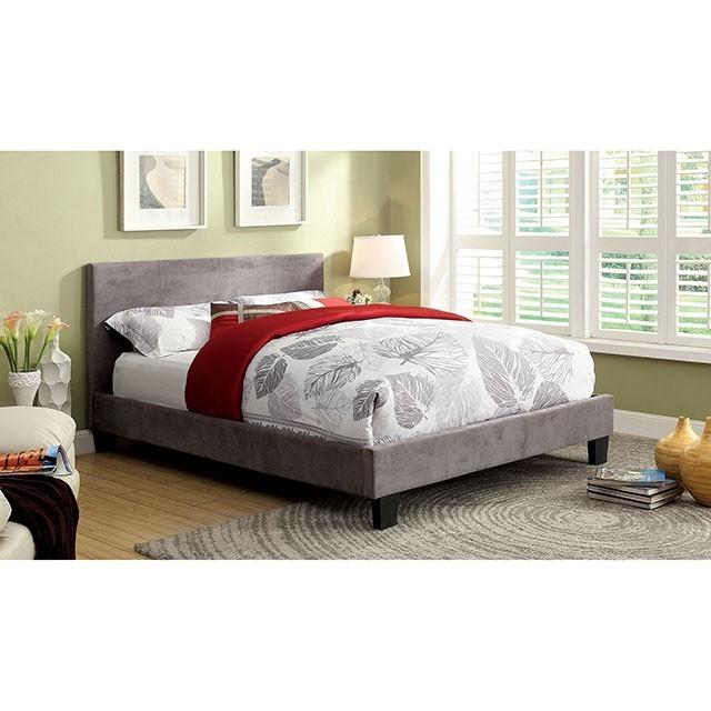 

    
Contemporary Light Grey Solid Wood Queen Platform Bed Furniture of America Winn Park CM7008GF-Q
