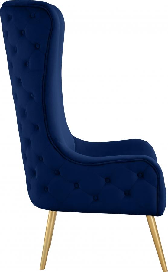 

        
Meridian Furniture Alexander Accent Chair 536Navy Accent Chair Navy/Gold Velvet 16579829568798
