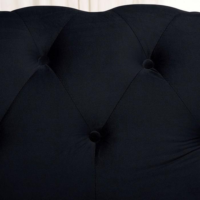 

    
Glam Black Velvet-Like Fabric Arm Chair Furniture of America CM6240BK-CH Giacomo

