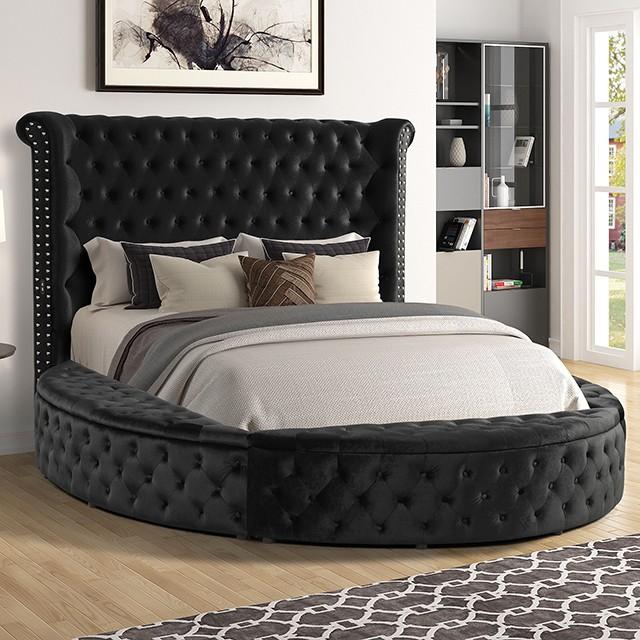 

    
Glam Black Velvet-Like Fabric Queen Bed Furniture of America CM7178BK Sansom
