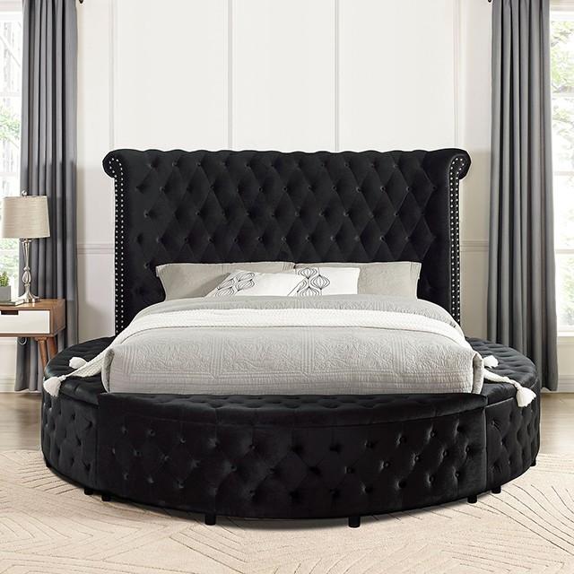 

    
Furniture of America CM7178BK-Q Sansom Platform Bed Black CM7178BK-Q
