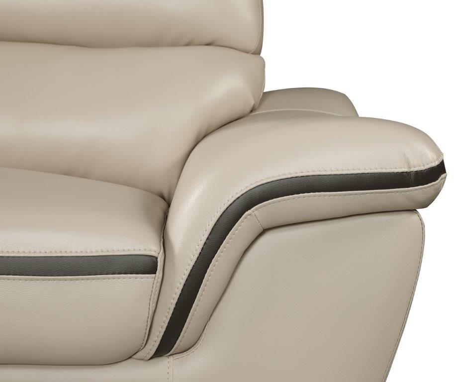 

    
 Photo  Beige Premium Leather Match Sofa Set 2 Pcs Contemporary Global United 168

