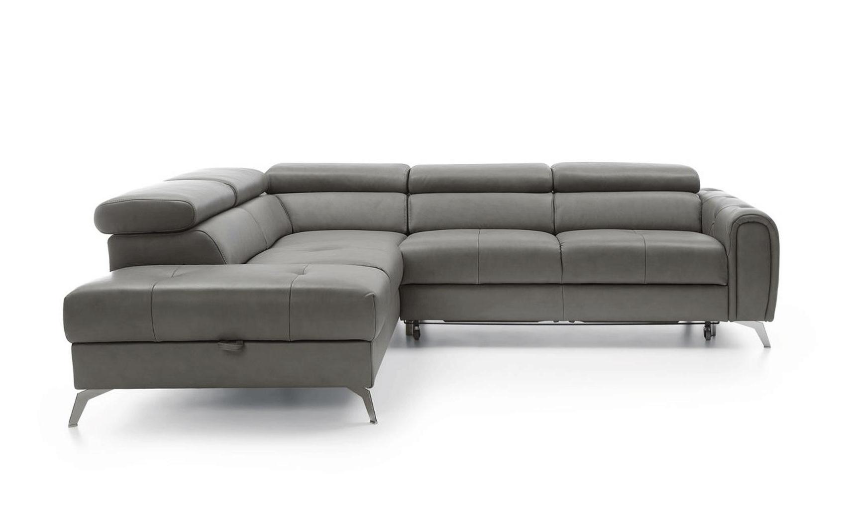 

    
Camelia Sectional Sofa Bed
