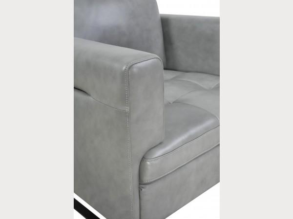 

    
36501BS1173 Gray Top Grain Leather Arm Chair 365 Frensen Moroni Modern Contemporary
