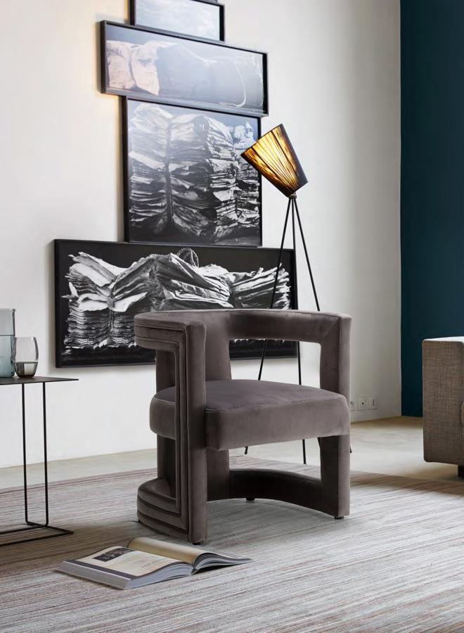 

    
Grey Velvet Accent Chair Set 2Pcs Blair 530Grey Meridian Contemporary Modern

