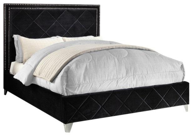 Contemporary Platform Bed Hampton HamptonBlack-Q-Bed in Black Velvet