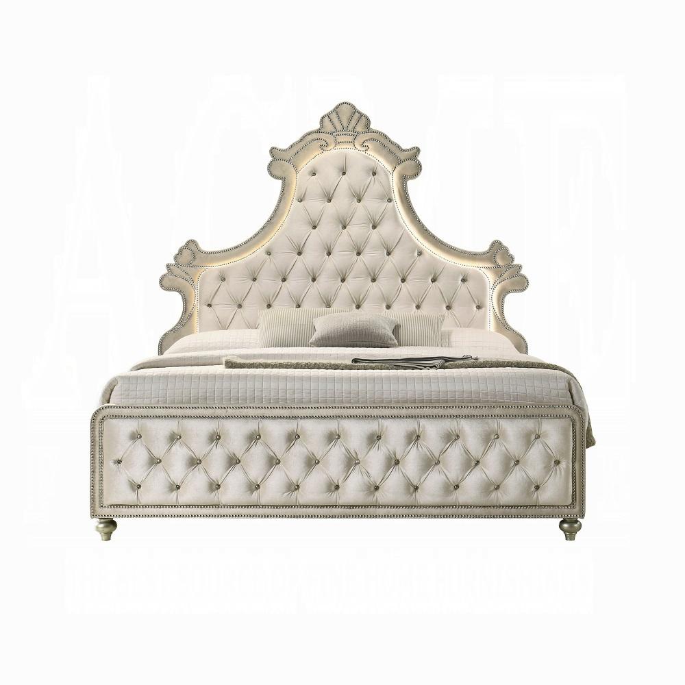 

                    
Acme Furniture Lucienne Queen Panel Bedroom Set 5PCS BD02335Q-Q-5PCS Panel Bedroom Set Beige Velvet Purchase 
