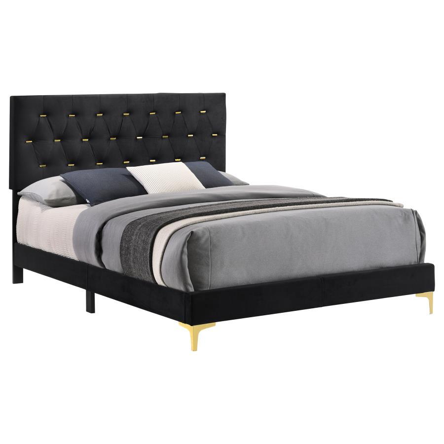 Contemporary, Modern Panel Bed Kendall Queen Panel Bed 224451Q 224451Q in Gold, Black Fabric
