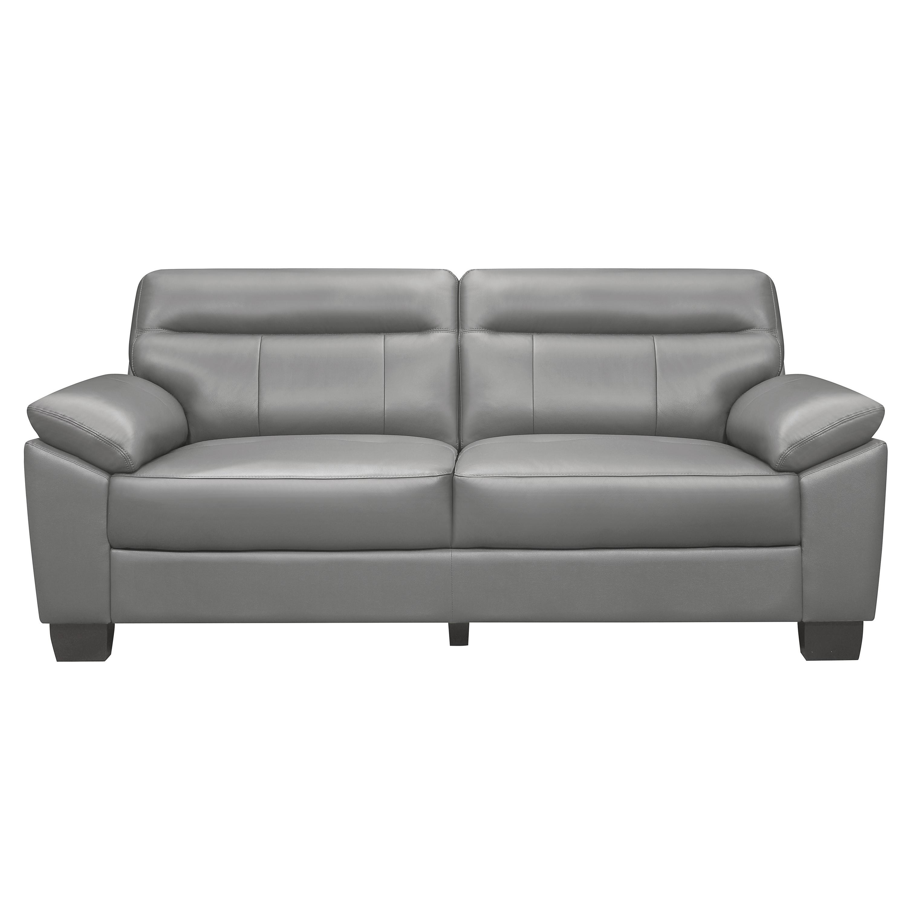 Modern Sofa 9537GRY-3 Denizen 9537GRY-3 in Gray Leather