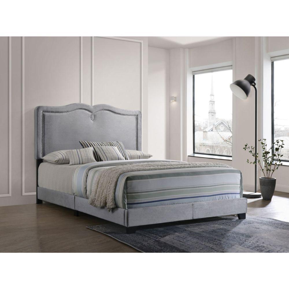

    
Modern Gray Velvet Queen Bed by Acme Reuben 26420Q
