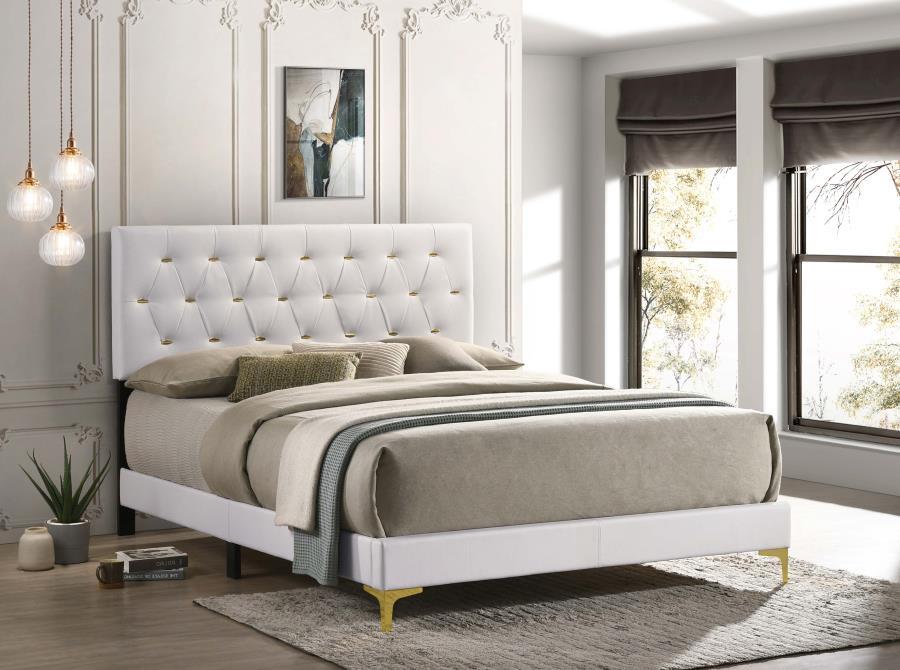 

    
Modern White Wood Queen Panel Bed Coaster Kendall 224401Q
