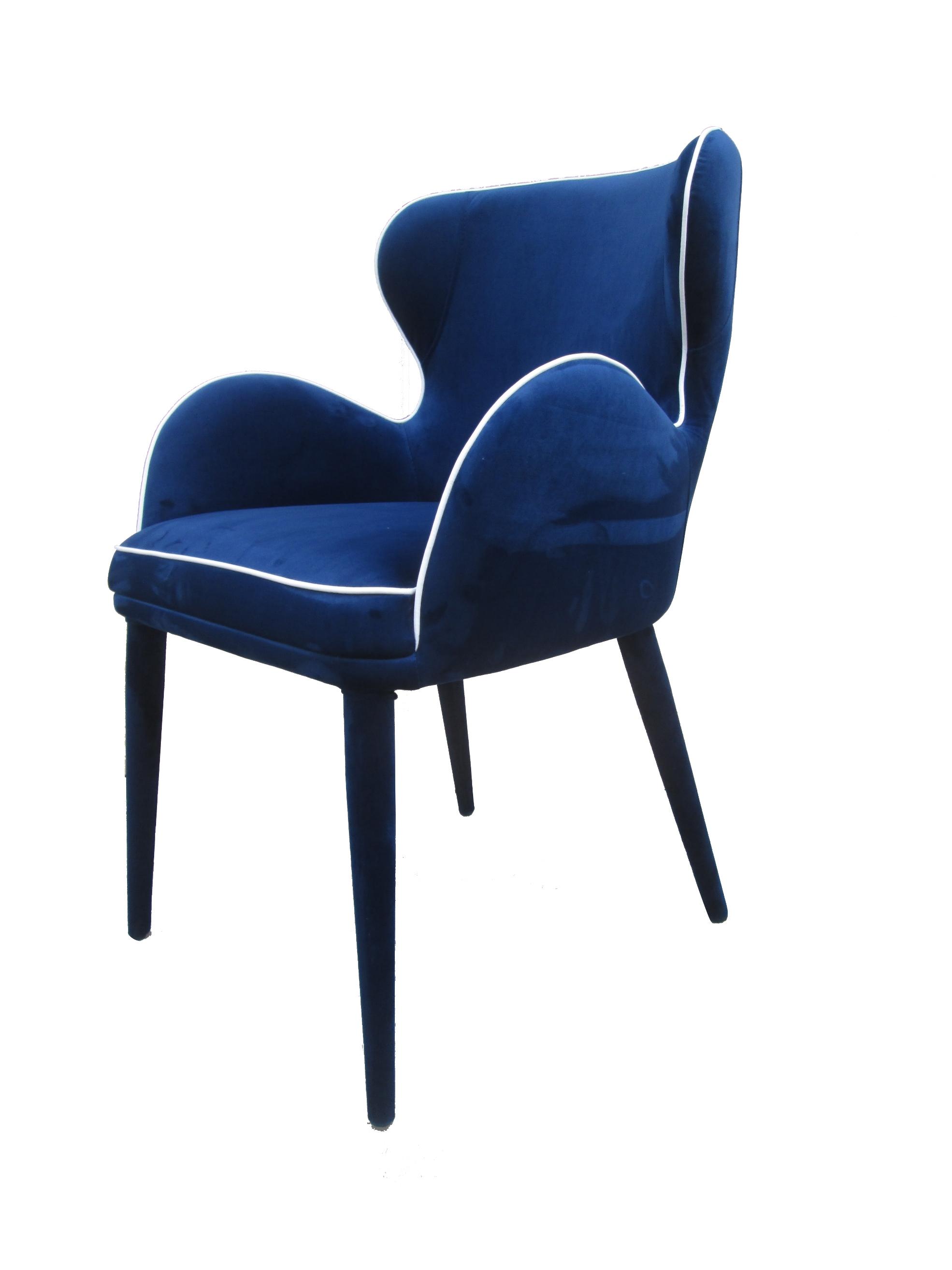 

    
Blue Fabric Dining Chair Set 2Pcs Modrest Tigard Modern Contemporary
