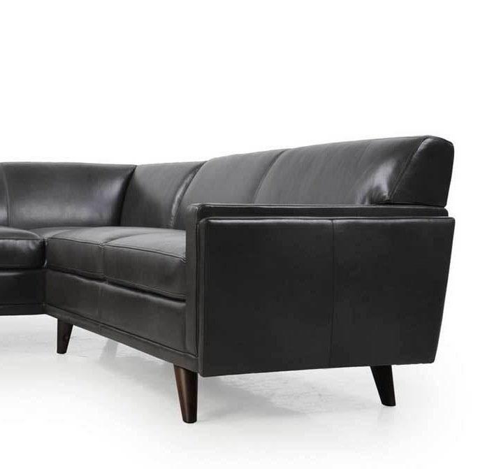 

                    
Moroni Milo 361 Sectional Sofa Charcoal Leather Purchase 
