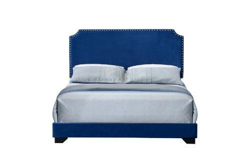 Transitional Queen Bed Haemon 26760Q in Blue Fabric