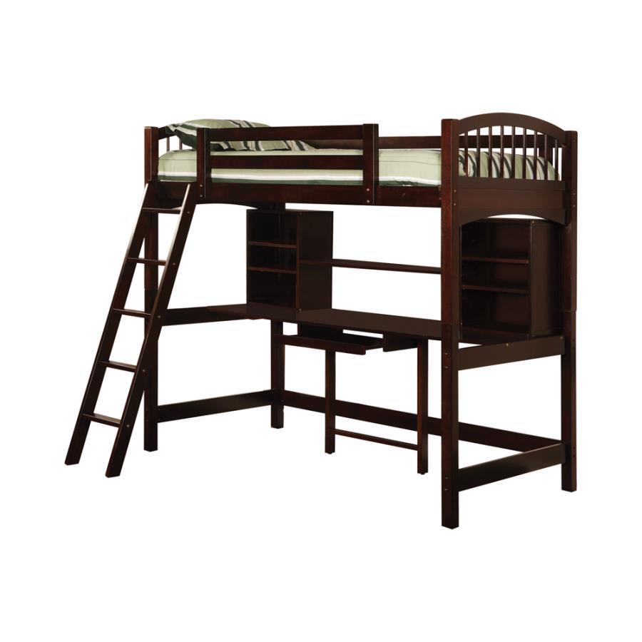 Transitional Workstation Loft Bed 460063 Perris 460063 in Cappuccino 