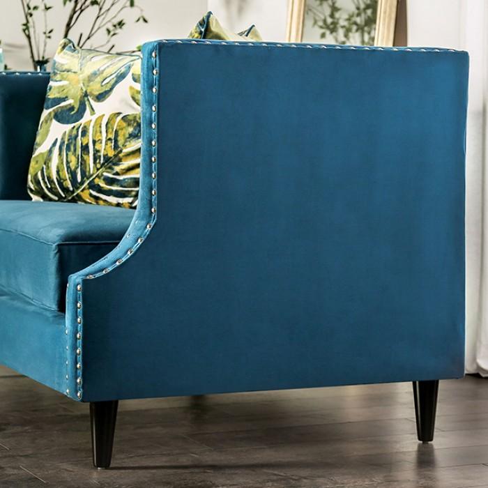 

                    
Furniture of America SM2219-SF-2PC Azuletti Sofa and Loveseat Set Blue Velvet Purchase 
