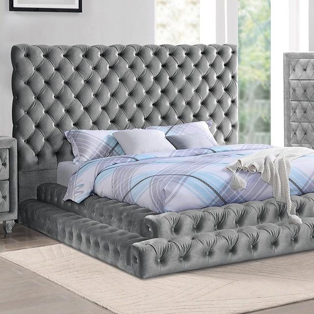 Transitional Platform Bed CM7227GY-Q Stefania CM7227GY-Q in Gray 