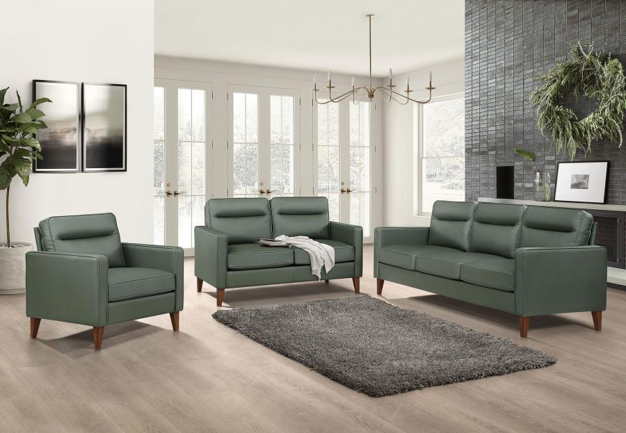 

    
Transitional Green Wood Living Room Set 3PCS Coaster Jonah 509654
