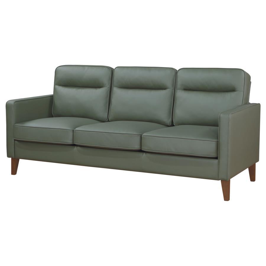 

    
Transitional Green Wood Sofa Coaster Jonah 509651

