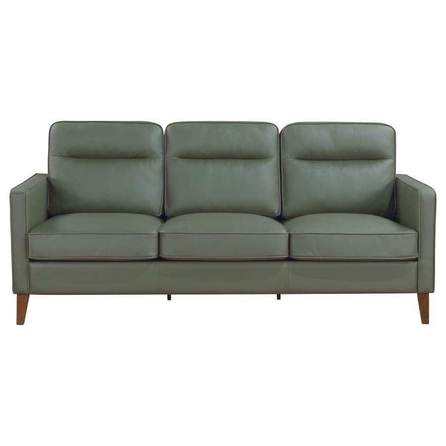 

    
509654-S Coaster Sofa
