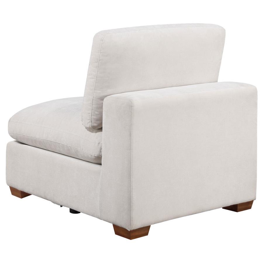 

                    
Coaster Lakeview Armless Chair 551461-AC Armless Chair Oak/Ivory Fabric Purchase 

