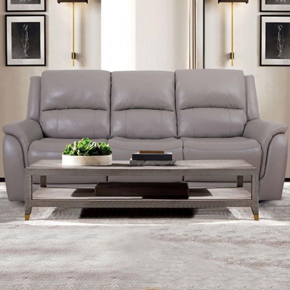

    
Furniture of America Gorgius Power Reclining Sofa CM9910ST-SF-PM-S Power Reclining Sofa Light Gray CM9910ST-SF-PM-S

