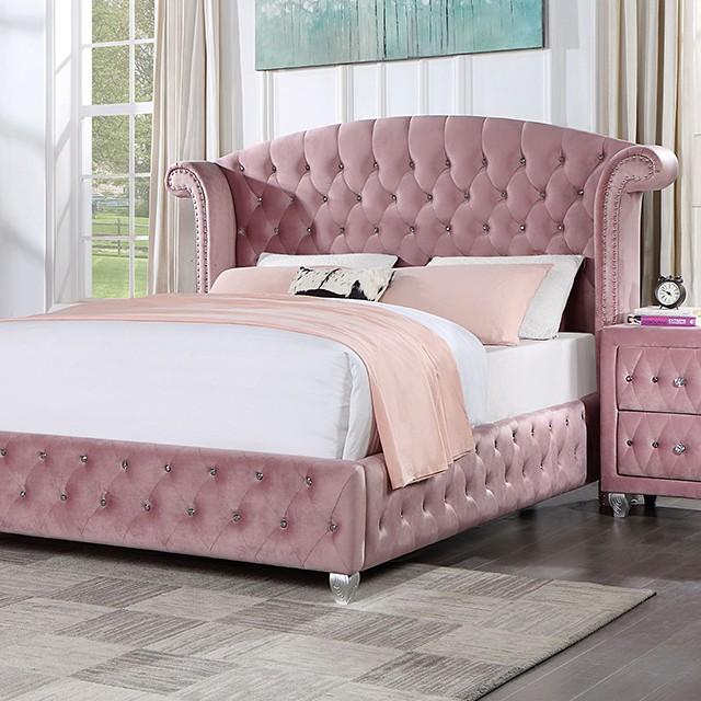 

    
Transitional Pink Solid Wood Queen Bed Furniture of America CM7130PK Zohar

