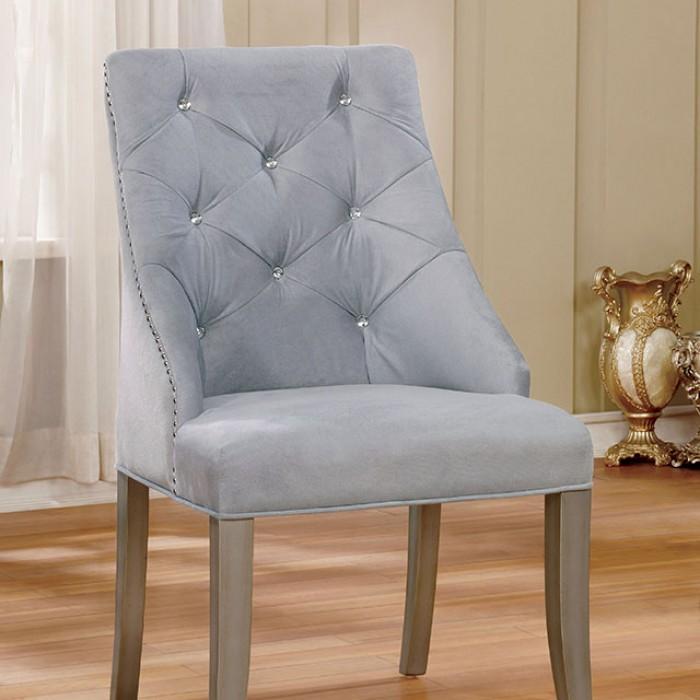 Transitional Dining Chair Set CM3020SC-2PK Diocles CM3020SC-2PK in Silver 