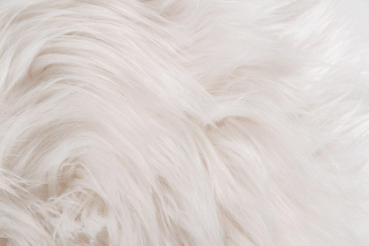 

    
White Faux Fur & Gold Ottoman VIG Modrest Ghent Modern Contemporary
